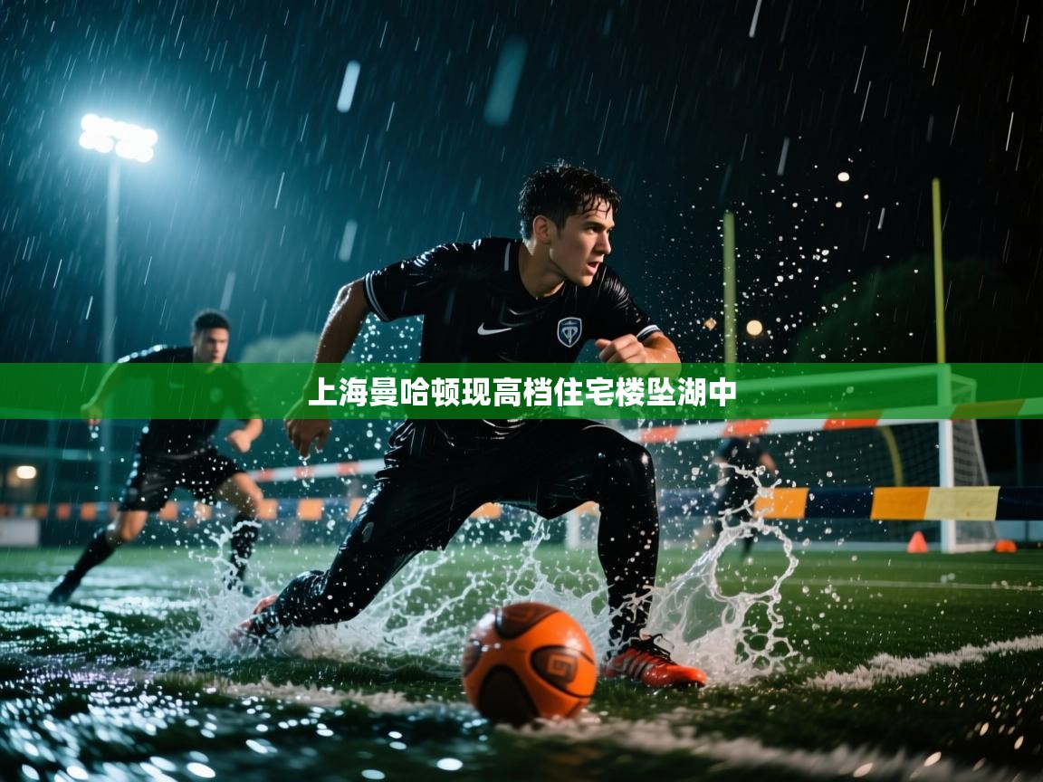 上海曼哈顿现高档住宅楼坠湖中  第2张