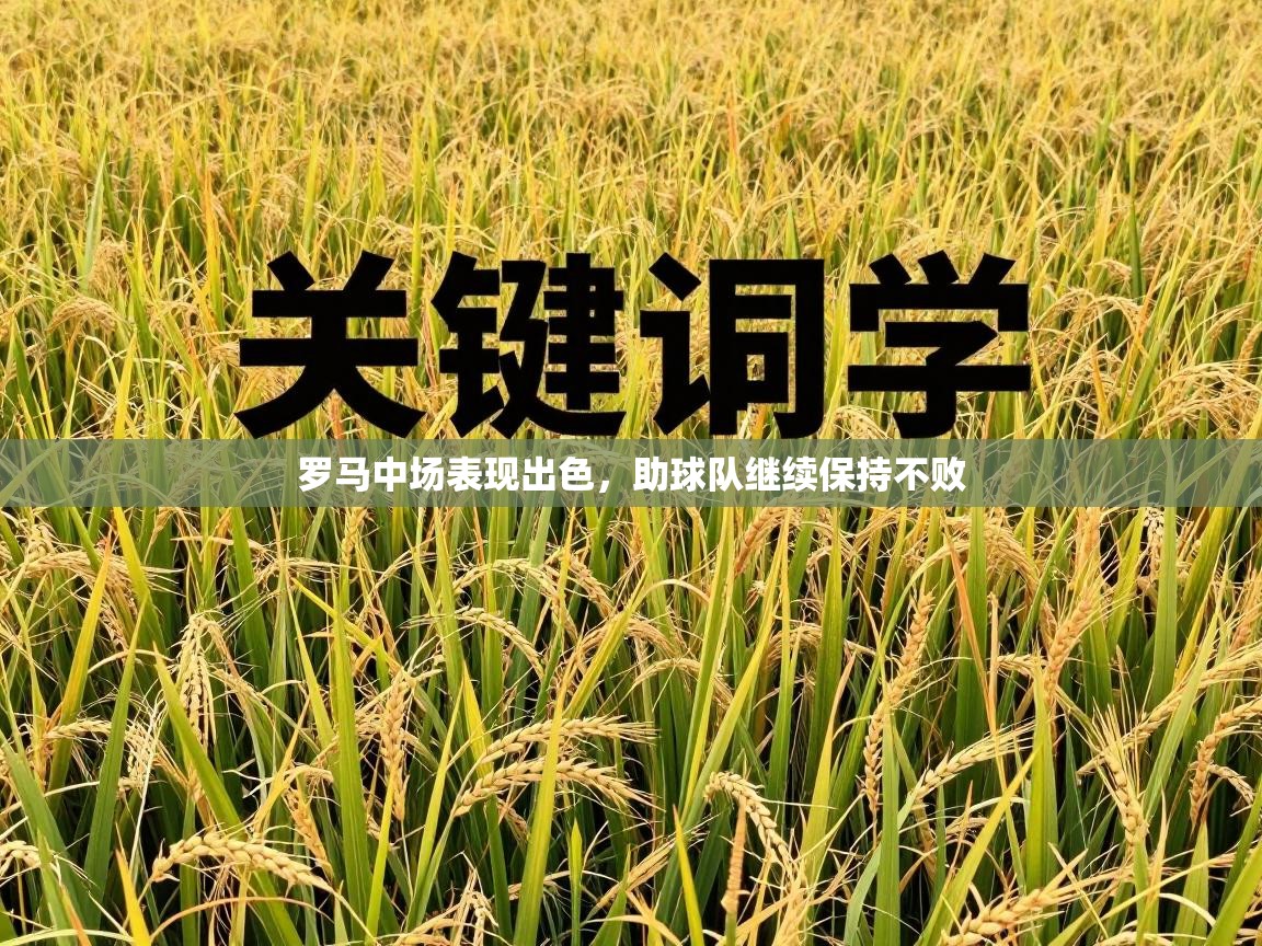 罗马中场表现出色，助球队继续保持不败  第1张