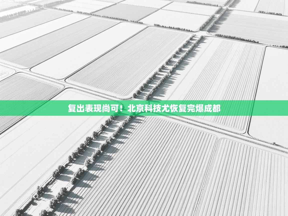 复出表现尚可！北京科技尤恢复完爆成都  第1张